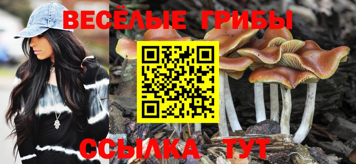 Галлюциногенные грибы мухоморы Железногорск